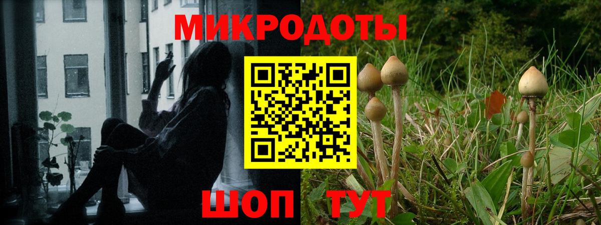 Псилоцибиновые грибы мухоморы  где можно купить   Зеленодольск  Вход с VPN 